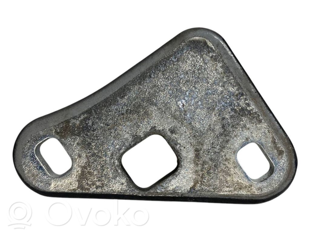 Front lower hinge