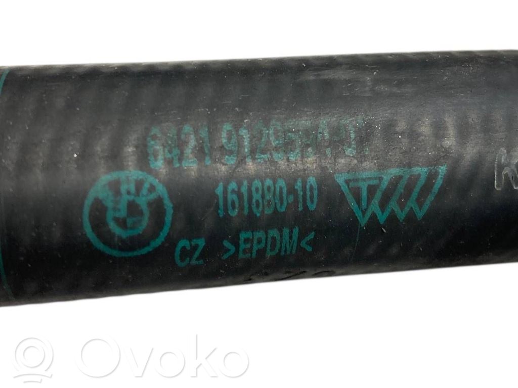 Caurulīte (-es) / šļūtene (-es)