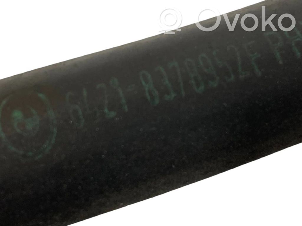 Caurulīte (-es) / šļūtene (-es)