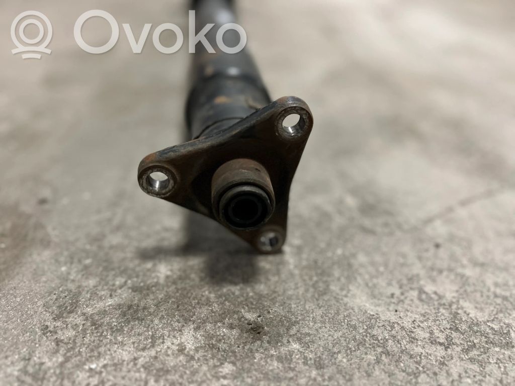 Rear cardan shaft