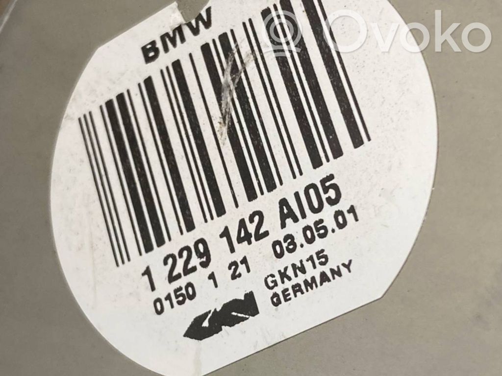 Aizmugurējā pusass