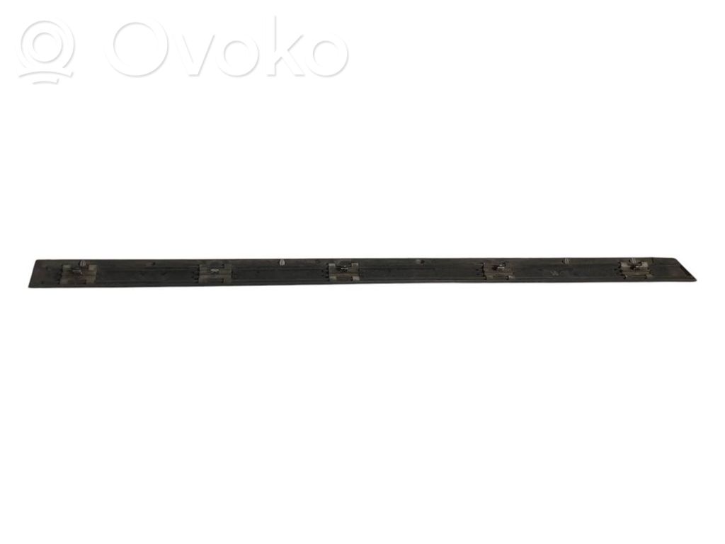 Aizmugurē durvju dekoratīvā apdare (moldings)