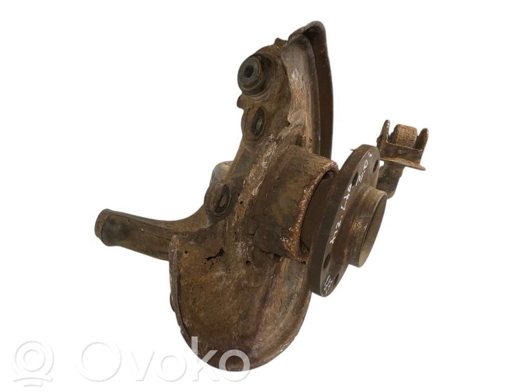 Rear wheel hub shaft joint (stupica, capfa)
