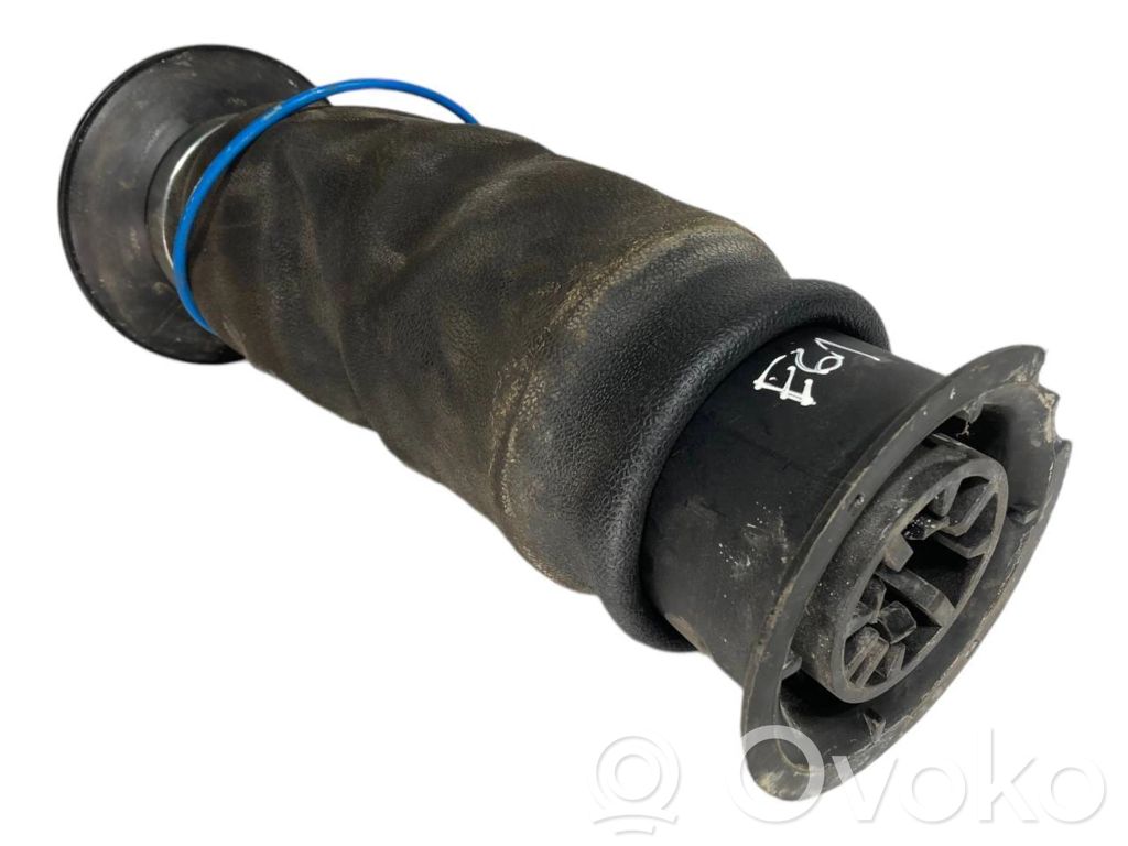 Aizmugurē gaisa spilvens