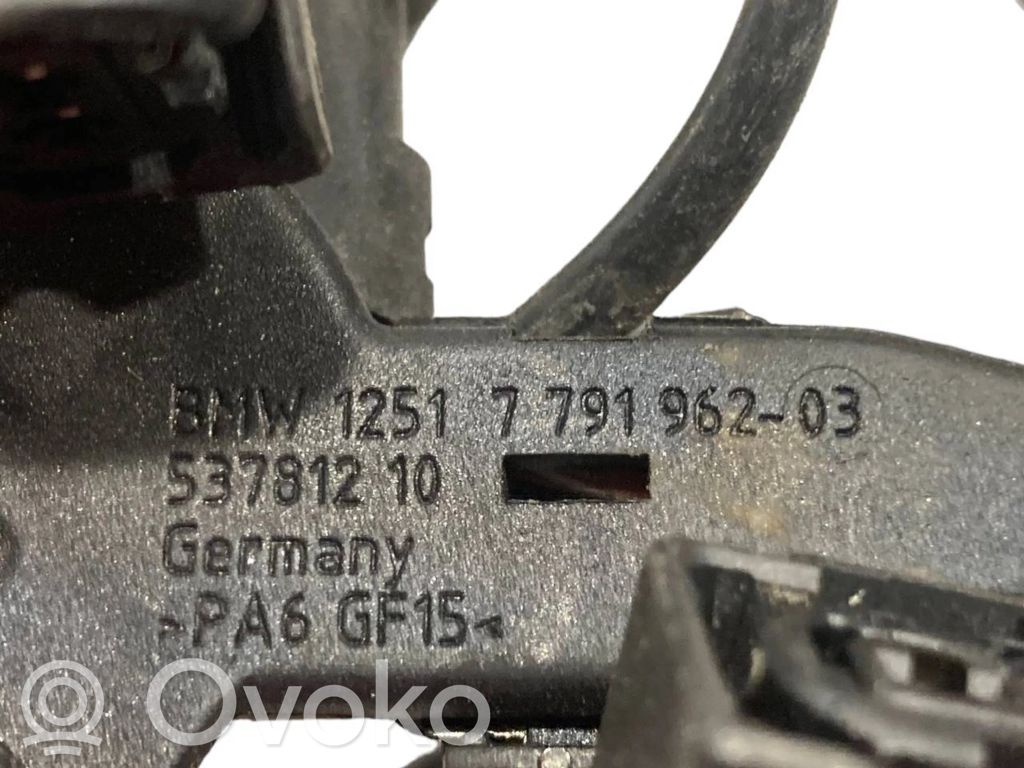 Engine wiring harness