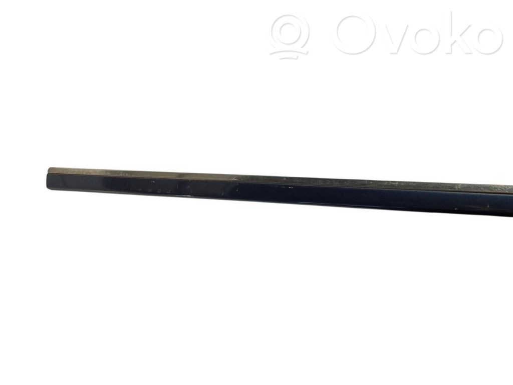 Priekšpusē durvju dekoratīvā apdare (moldings)
