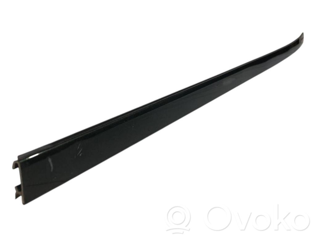 Aizmugurē durvju dekoratīvā apdare (moldings)
