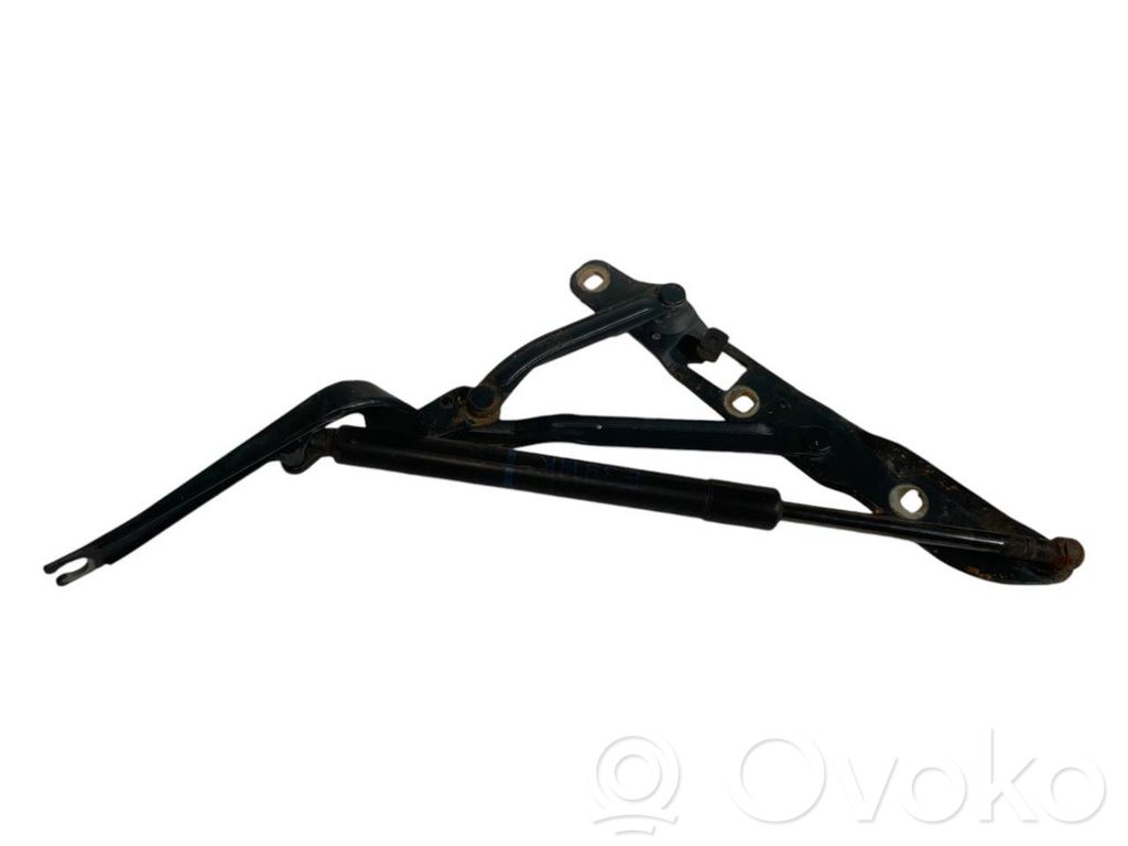 Rear cover hinge(s)