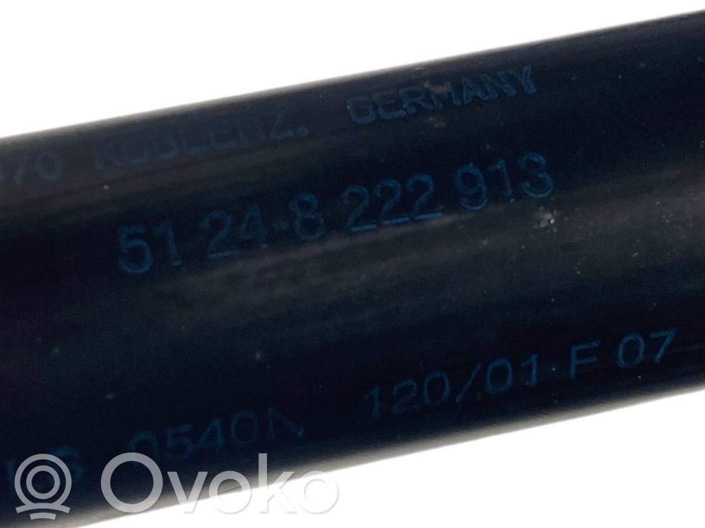 Aizmugurējā pārsega eņģe (-ess)