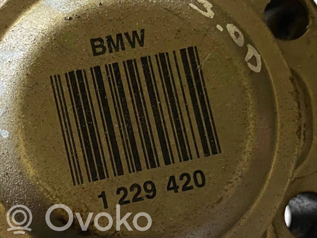 Aizmugurējā pusass