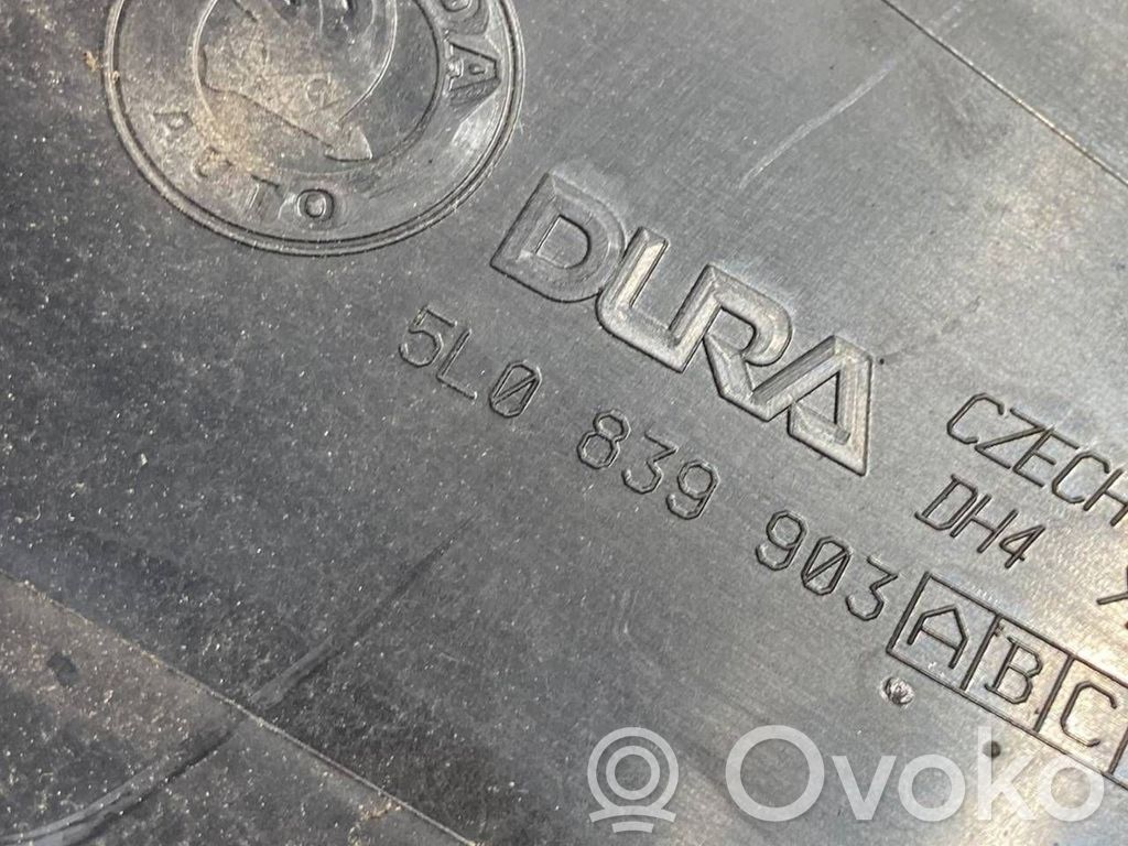 Aizmugurē durvju stikla apdare