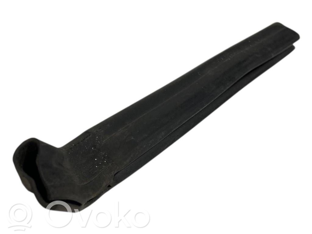 Dzinēja nodalījuma gumija