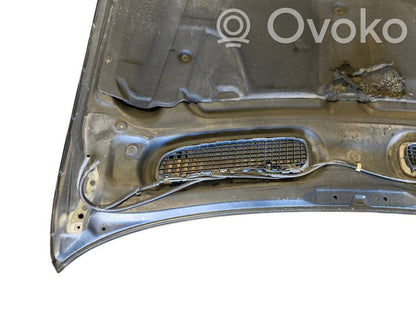 Dzinēja pārsegs (vāks)