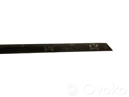 Aizmugurē durvju dekoratīvā apdare (moldings)