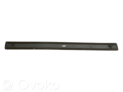 Front sill trim (inner)