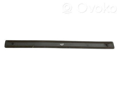 Front sill trim (inner)