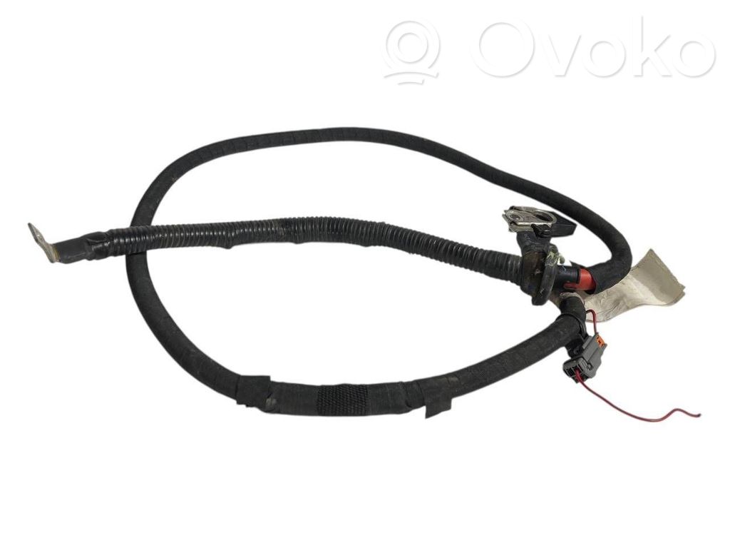 Plusa vads (akumulatora)