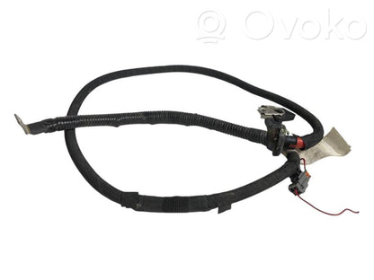 Plusa vads (akumulatora)