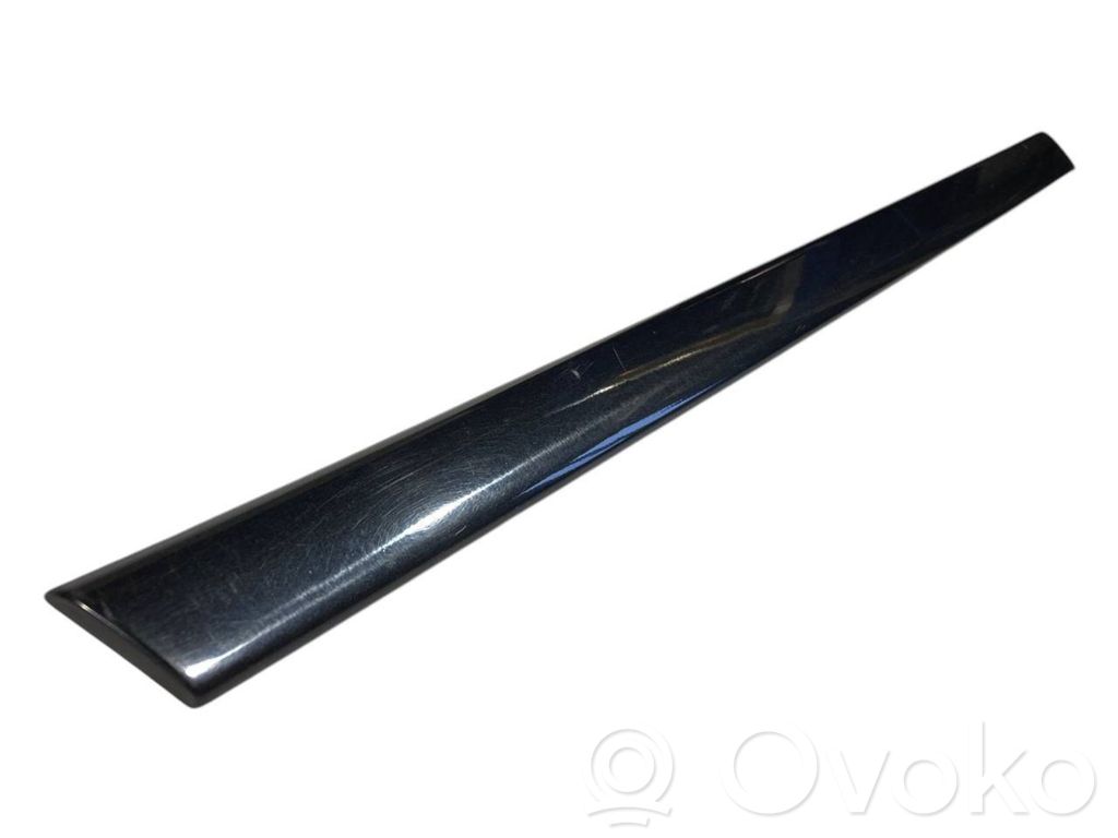 Rear door decorative trim (moulding)