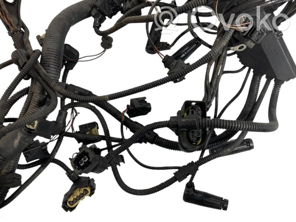 Жгут проводов двигателя