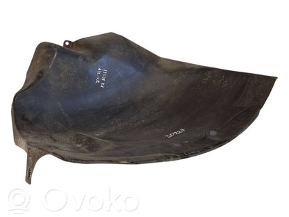 Aizmugurējais apakšspārns