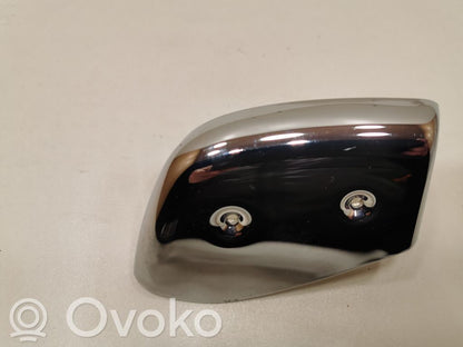 Cita veida priekšpusē durvju dekoratīvās apdares detaļa