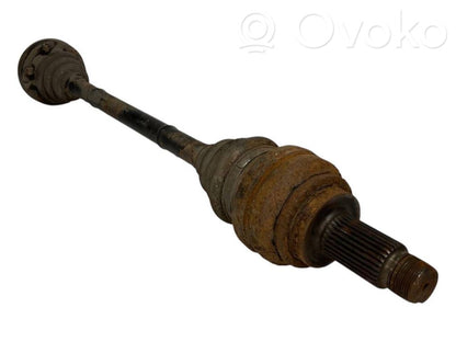 Aizmugurējā pusass