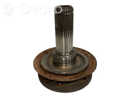 Kardānvārpsta / pusas pagarinājums