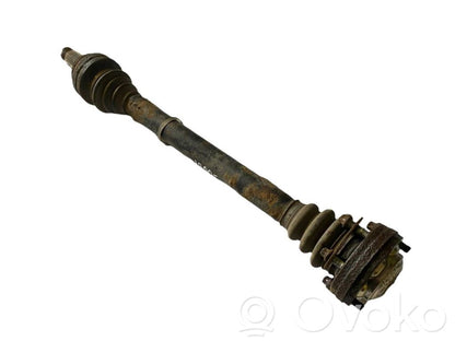 Aizmugurējā pusass