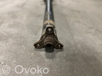 Aizmugurējais kardāns