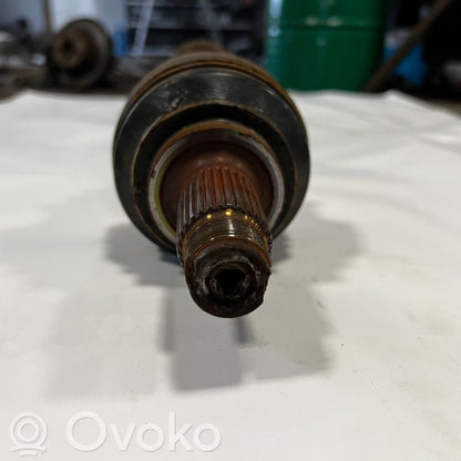 Aizmugurējā pusass