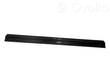 Front sill trim (inner)