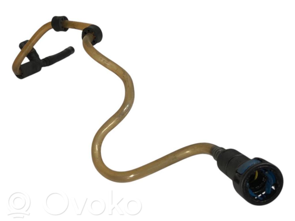 Caurule (-es) / šļūtene (-es)