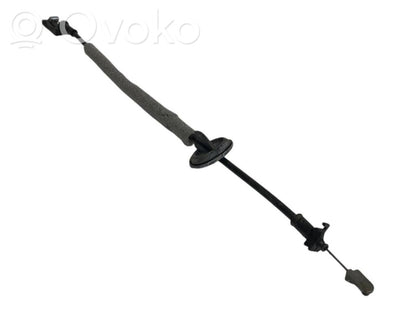 Trosīte