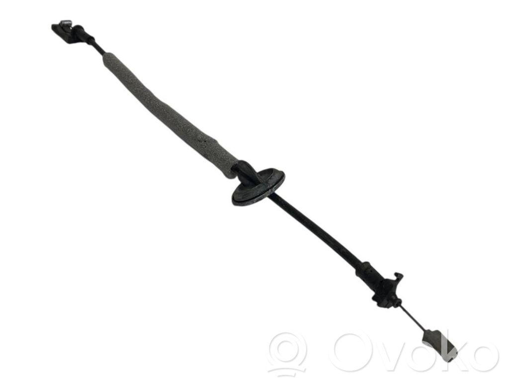 Trosīte