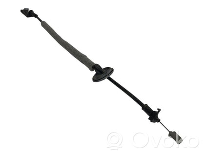 Trosīte