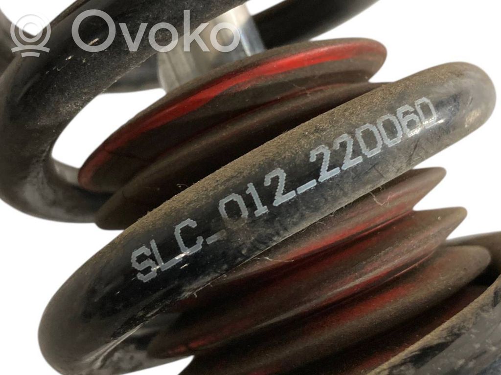 Rear shock absorber with spring