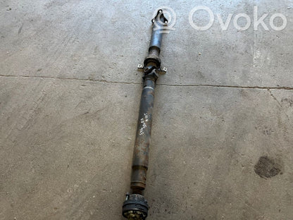 Aizmugurējais kardāns