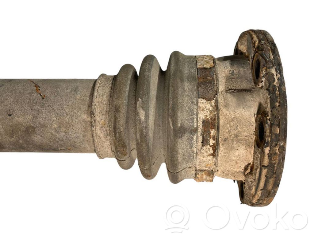 Aizmugurējā pusass