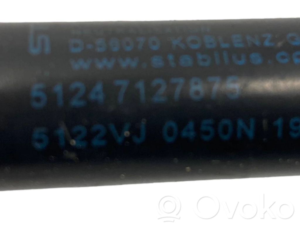 Bagāžnieka amortizators