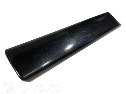 Fender decorative trim (molding)