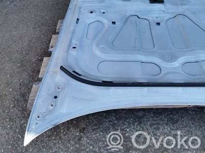 Dzinēja pārsegs (vāks)