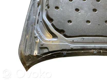 Dzinēja pārsegs (vāks)