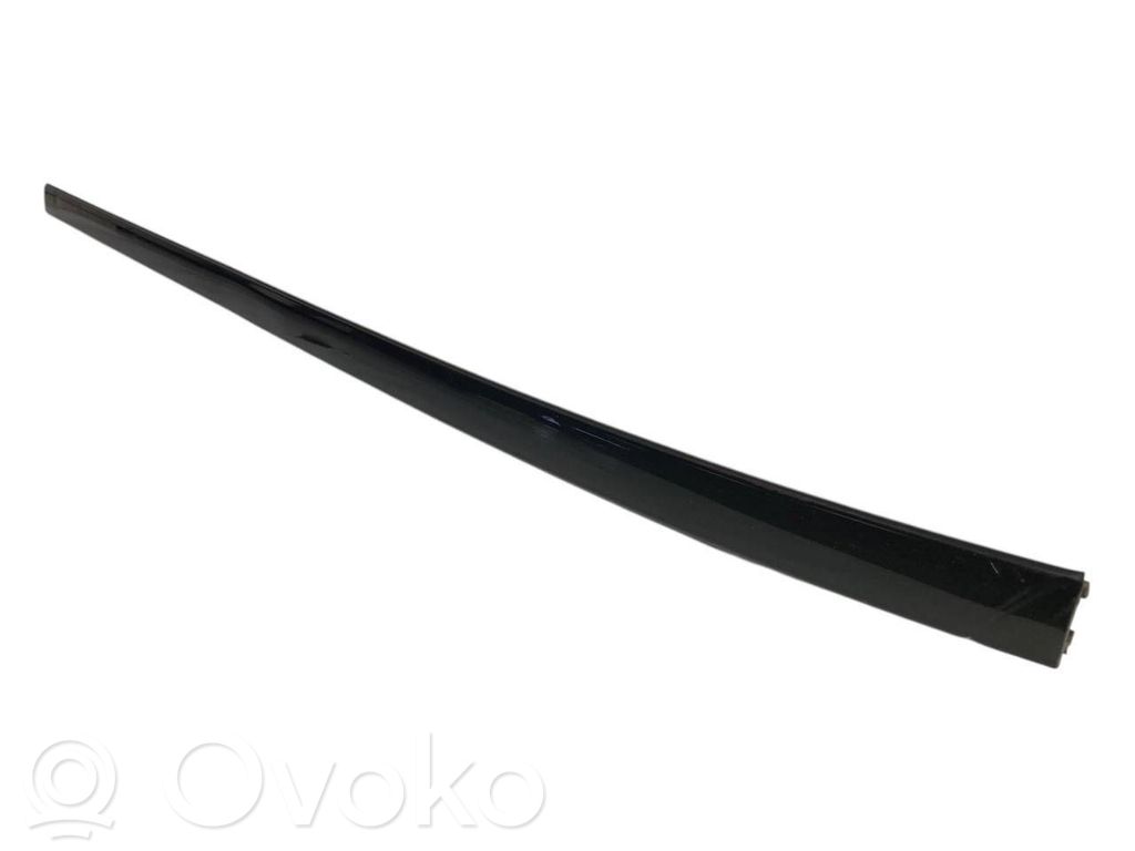 Aizmugurē durvju dekoratīvā apdare (moldings)