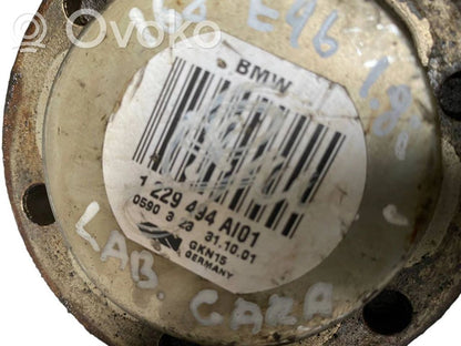 Aizmugurējā pusass