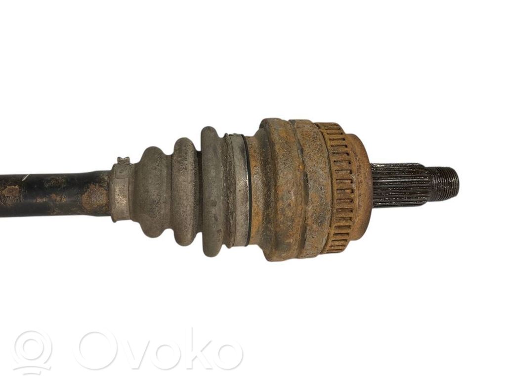 Aizmugurējā pusass