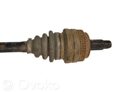 Aizmugurējā pusass