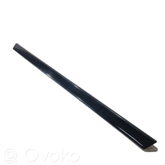 Rear door decorative trim (moulding)