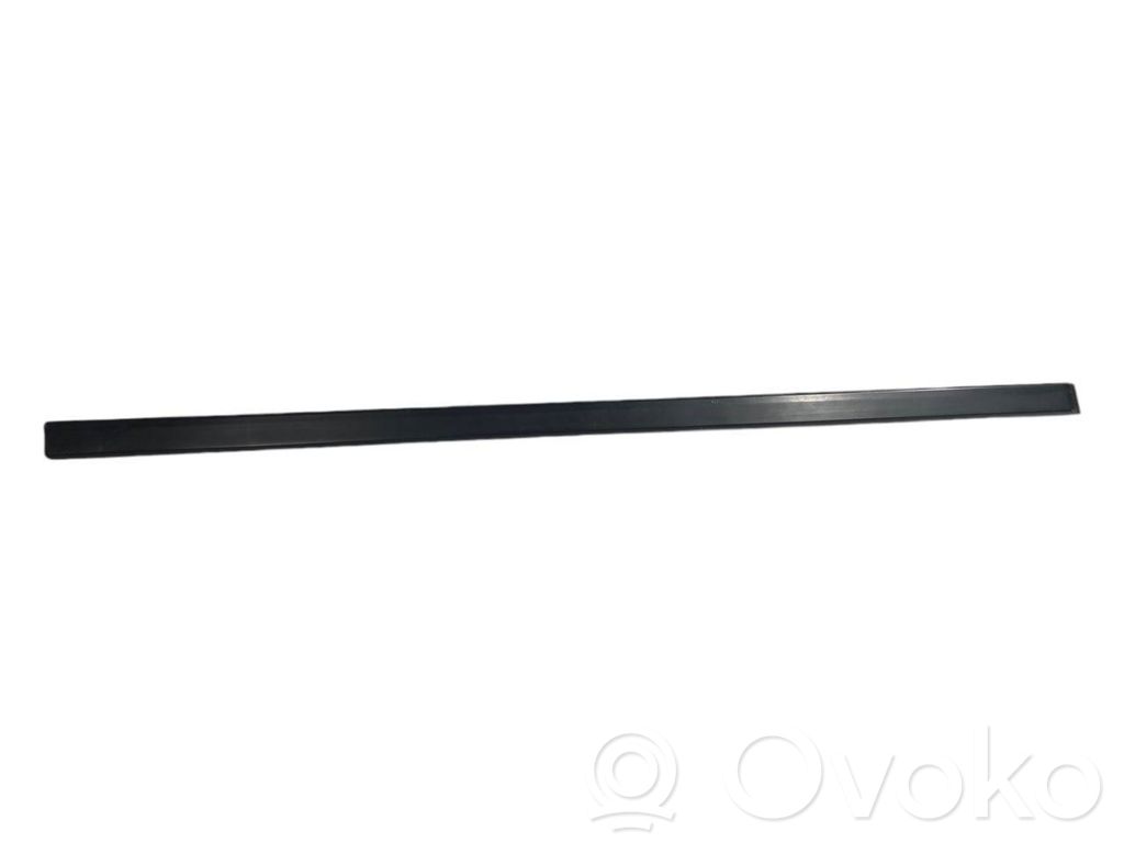 Front door decorative trim (molding)