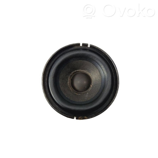 Speaker(s) in front door